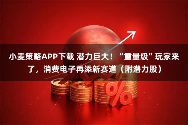 小麦策略APP下载 潜力巨大！“重量级”玩家来了，消费电子再添新赛道（附潜力股）
