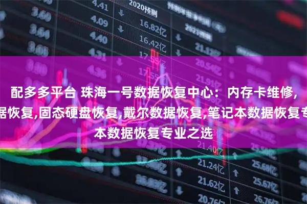 配多多平台 珠海一号数据恢复中心：内存卡维修,华为数据恢复,固态硬盘恢复,戴尔数据恢复,笔记本数据恢复专业之选