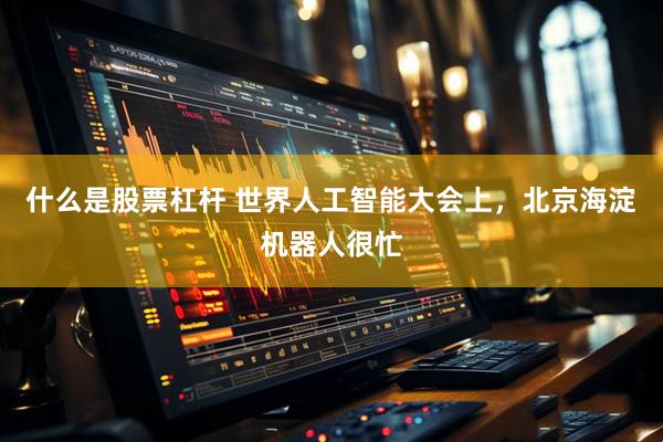 什么是股票杠杆 世界人工智能大会上，北京海淀机器人很忙